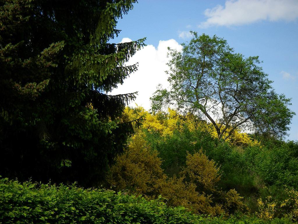 Auszeit Am Eifelsteig Hotel Daun Exterior foto