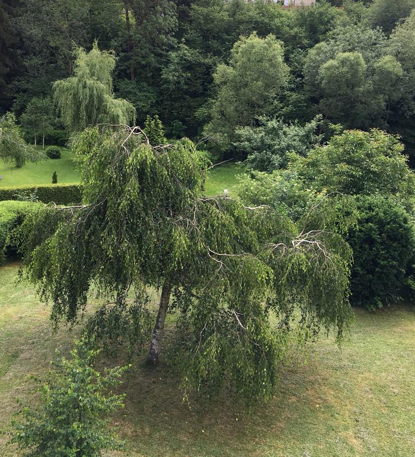 Auszeit Am Eifelsteig Hotel Daun Exterior foto